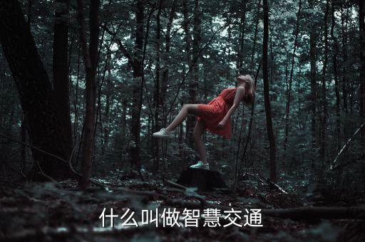 什么叫做智慧交通