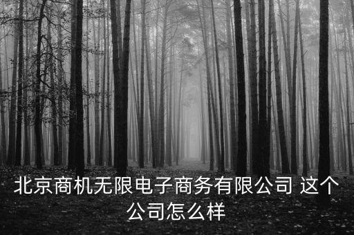 北京商機(jī)無(wú)限電子商務(wù)有限公司 這個(gè)公司怎么樣