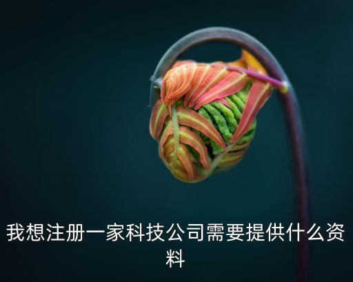 我想注冊一家科技公司需要提供什么資料