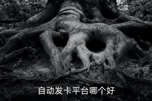 自動(dòng)發(fā)卡平臺(tái)哪個(gè)好