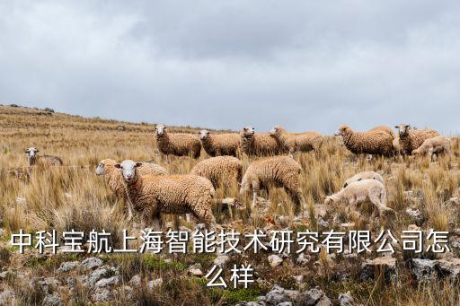 中科寶航上海智能技術(shù)研究有限公司怎么樣