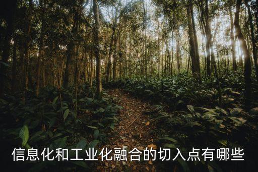 信息化和工業(yè)化融合的切入點有哪些