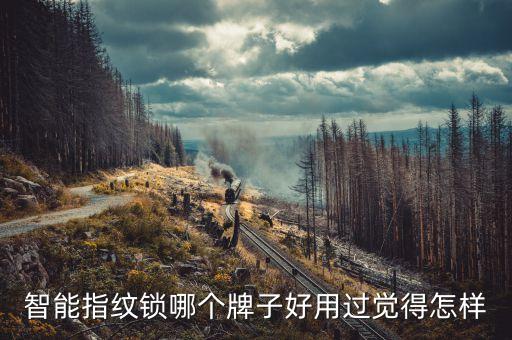 智能指紋鎖哪個(gè)牌子好用過覺得怎樣