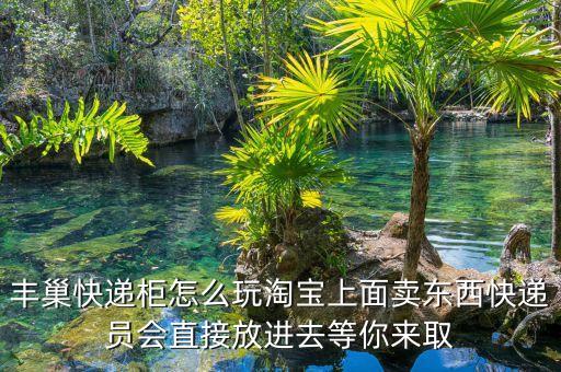 豐巢快遞柜怎么玩淘寶上面賣東西快遞員會(huì)直接放進(jìn)去等你來(lái)取