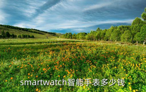 smartwatch智能手表多少錢