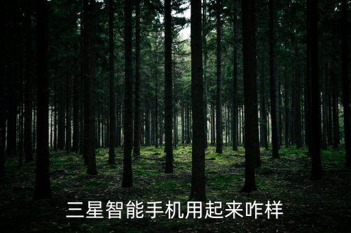 三星智能手機(jī)用起來咋樣