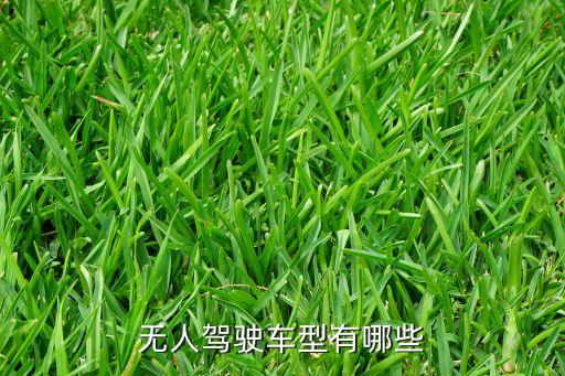 自動(dòng)駕駛汽車有哪幾款，國(guó)產(chǎn)車哪幾款車是帶自動(dòng)駕駛的