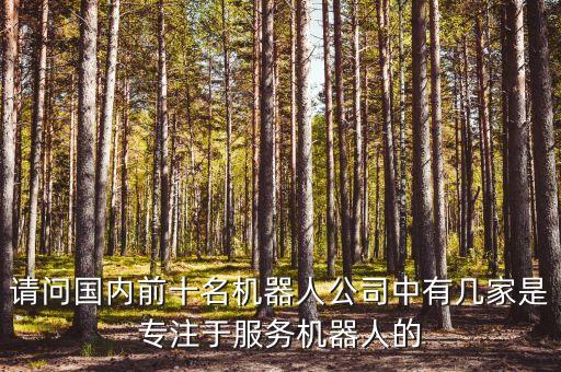 請問國內(nèi)前十名機(jī)器人公司中有幾家是專注于服務(wù)機(jī)器人的