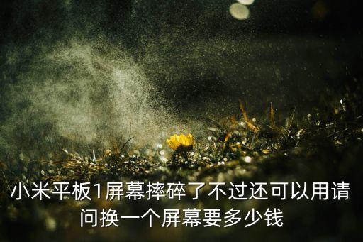 小米平板1屏幕摔碎了不過還可以用請問換一個(gè)屏幕要多少錢