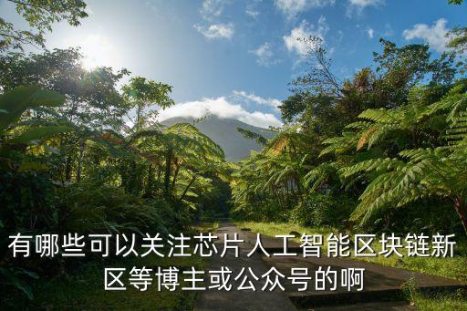 有哪些可以關(guān)注芯片人工智能區(qū)塊鏈新區(qū)等博主或公眾號(hào)的啊