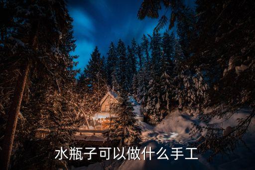水瓶子可以做什么手工
