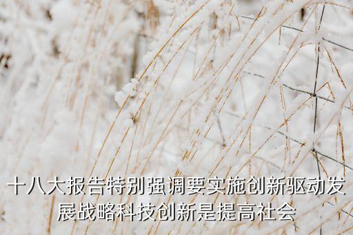 十八大報告特別強調(diào)要實施創(chuàng)新驅(qū)動發(fā)展戰(zhàn)略科技創(chuàng)新是提高社會