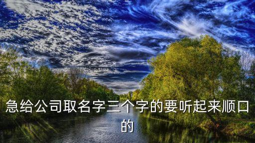 急給公司取名字三個字的要聽起來順口的