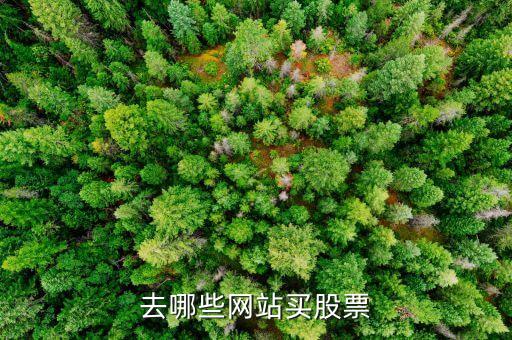 股票在哪個平臺買，股票交易平臺哪個好