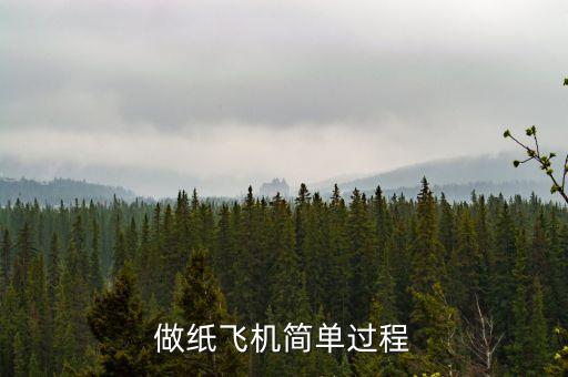 手工制作飛機簡單，怎么造簡單的飛機