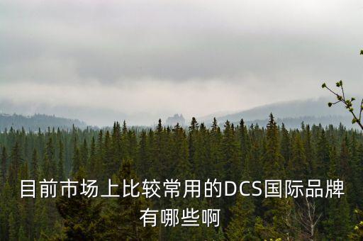 全球DCS廠家排名，電廠DCS系統(tǒng)最好的國外產(chǎn)品是哪家