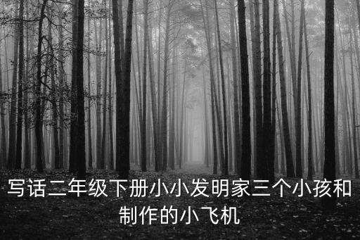 寫話二年級(jí)下冊(cè)小小發(fā)明家三個(gè)小孩和制作的小飛機(jī)