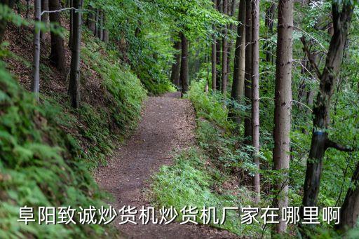 小型炒貨機(jī)，哪里有多功能炒貨機(jī)全自動炒貨機(jī)