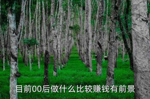 目前00后做什么比較賺錢有前景