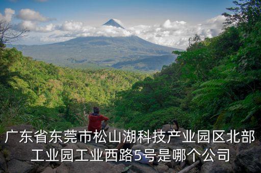 東莞學(xué)森自動化有限公司，全自動排線端子機東莞哪家做的比較好