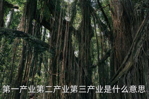 產(chǎn)業(yè)三大賦能是指，海洋的三大產(chǎn)業(yè)是指什么