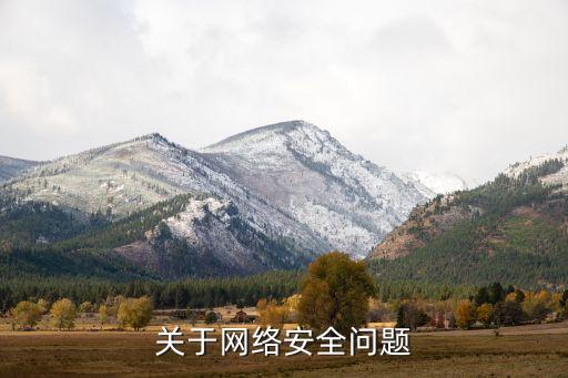關于網(wǎng)絡安全問題