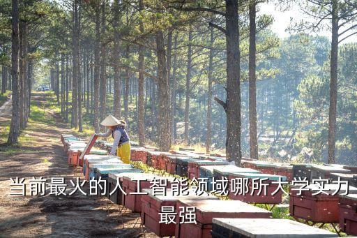 人工智能自動(dòng)化專業(yè)大學(xué)排名，當(dāng)前最火的人工智能領(lǐng)域哪所大學(xué)實(shí)力最強(qiáng)