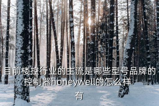 目前樓控行業(yè)的主流是哪些型號品牌的控制器honeywell的怎么樣 有