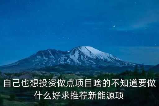 自己也想投資做點項目啥的不知道要做什么好求推薦新能源項