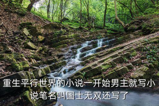 我的國(guó)士無(wú)雙，國(guó)士無(wú)雙是什么生肖