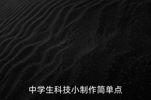 中學(xué)生科技小制作簡(jiǎn)單點(diǎn)
