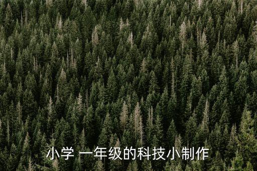 小學(xué) 一年級的科技小制作