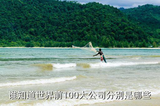 世界100強企業(yè)排名，09年世界百強企業(yè)排行