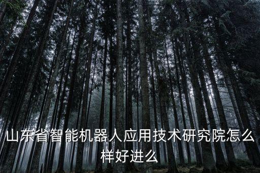 山東省智能機(jī)器人應(yīng)用技術(shù)研究院怎么樣好進(jìn)么