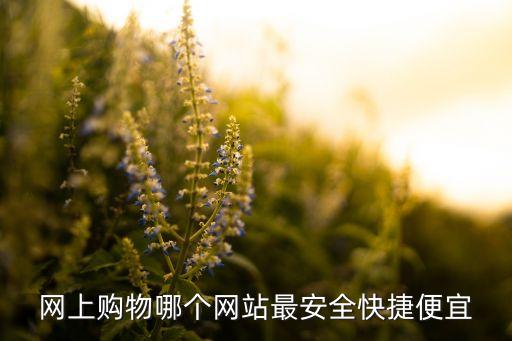 網(wǎng)上購(gòu)物哪個(gè)網(wǎng)站最安全快捷便宜