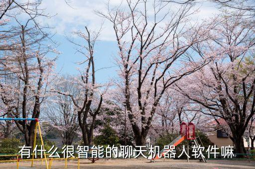 有什么很智能的聊天機器人軟件嘛