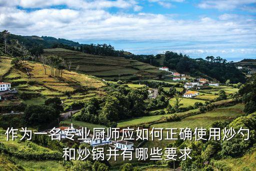 炒鍋正確手布圖解，請(qǐng)問炒菜時(shí)抹布的正確握法