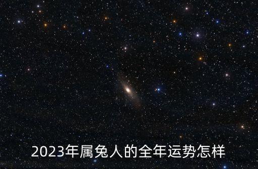 2023年屬兔人的全年運勢怎樣