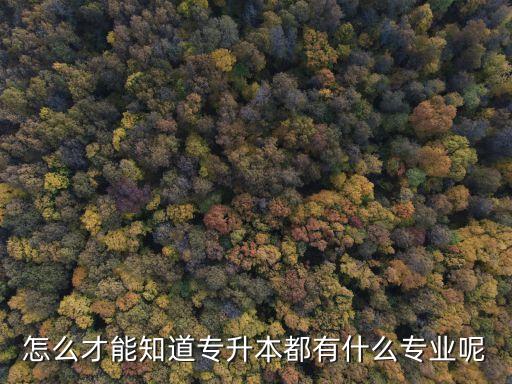 怎么查專升本對(duì)應(yīng)的專業(yè)，怎么才能知道專升本都有什么專業(yè)呢