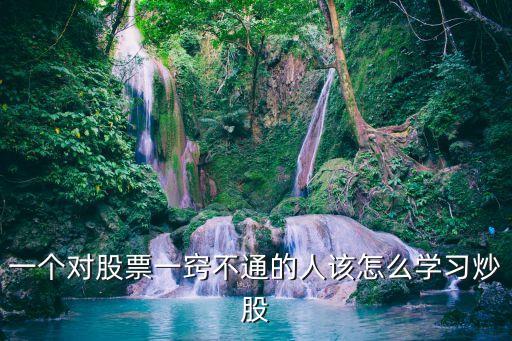 一竅不通怎么學(xué)炒股，一個(gè)對(duì)股票一竅不通的人怎樣快速學(xué)習(xí)炒股