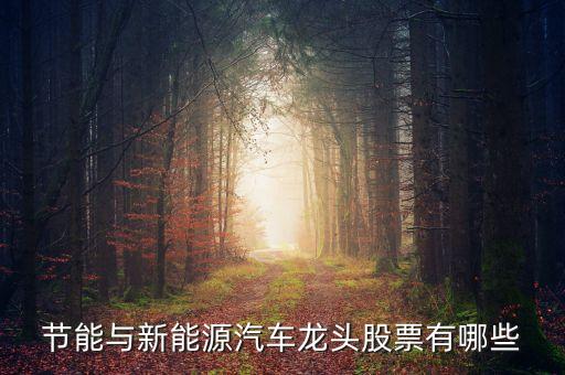 節(jié)能與新能源汽車龍頭股票有哪些
