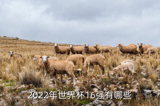 2022年世界杯16強(qiáng)有哪些