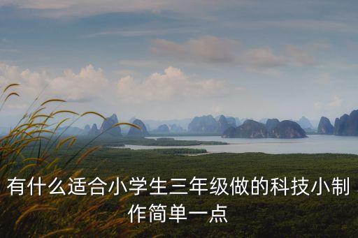 有什么適合小學(xué)生三年級做的科技小制作簡單一點