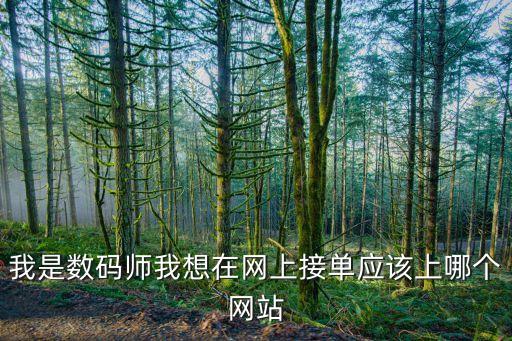數(shù)據(jù)標注員接單平臺，我是數(shù)碼師我想在網(wǎng)上接單應該上哪個網(wǎng)站