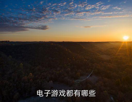 電子游戲都有哪些