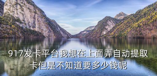 917發(fā)卡平臺我想在上面弄自動提取卡但是不知道要多少錢呢