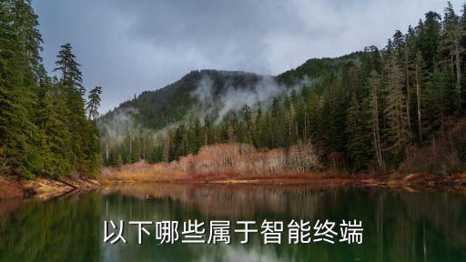 以下哪些屬于智能終端