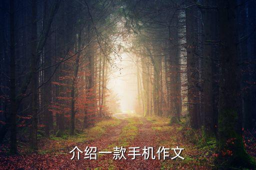 介紹手機(jī)的說明文600字初二，介紹一款手機(jī)作文