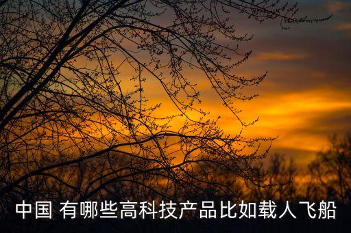 中國 有哪些高科技產(chǎn)品比如載人飛船