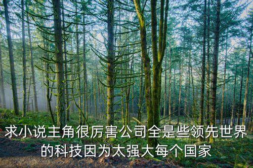 幕后科技公司 小說，求小說主角很厲害公司全是些領(lǐng)先世界的科技因為太強(qiáng)大每個國家